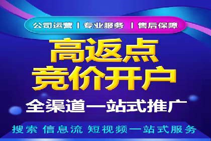 百度推广排名案例报告：某行业巨头如何运用其占领市场高地